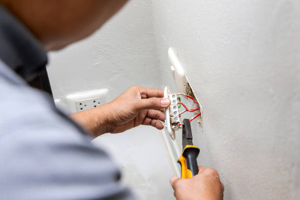 Best Electric Panel Repair  in Okeechobee, FL